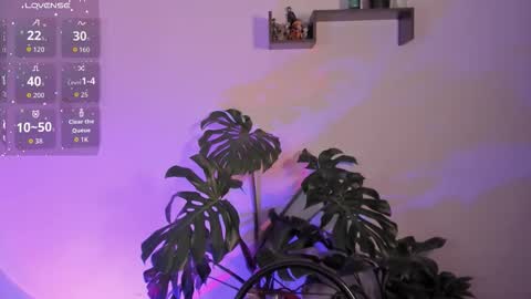 Vivi  online show from 01/12/26, 04:50