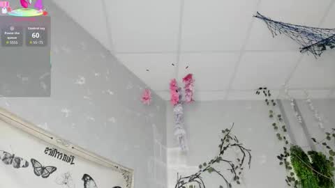 Ameli online show from 02/14/26, 03:03