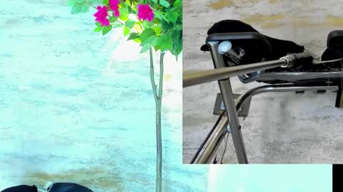  AMELIA.  online show from 03/15/26, 01:33