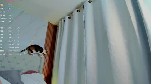 Snapshot of amelie_leigh chatting on 02/28/25, 07:37 Alejandra online show from 02/28/25, 07:37