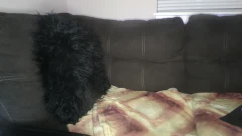 Snapshot of amiri_sweater chatting on 02/25/25, 06:36 amiri_sweater online show from 02/25/25, 06:36