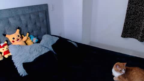 diana online show from 04/16/26, 12:00