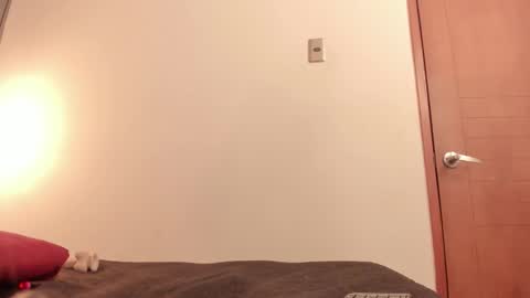 ammytorrez_ online show from 09/11/25, 11:32