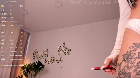 Amy online show from 03/30/26, 06:58