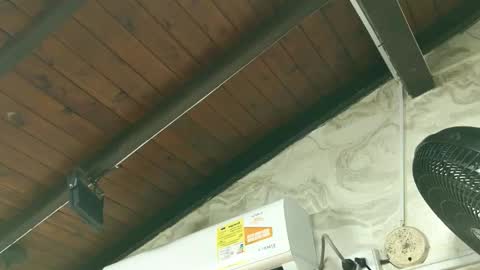 amy_greenee online show from 03/01/26, 11:34