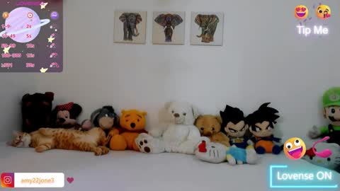 Amy online show from 04/15/26, 07:58