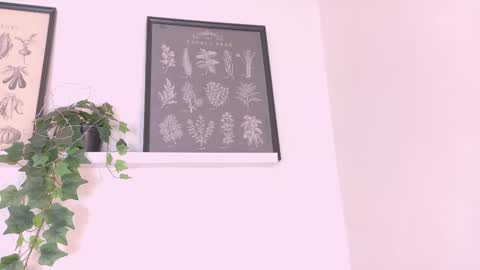  AMMY  online show from 02/20/26, 11:54