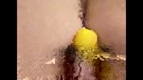 You can call me Amy Ray or Maggie May online show from 04/16/26, 09:15