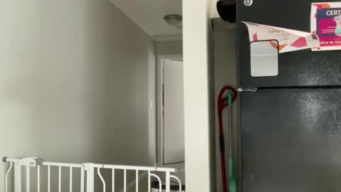 Amy Smilez online show from 12/17/25, 05:30