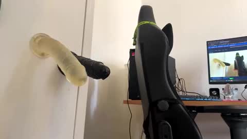 Snapshot of analass_ chatting on 09/20/25, 11:00 analass_ online show from 09/20/25, 11:00