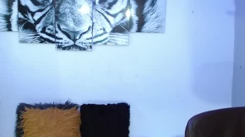 Analia online show from 02/01/25, 02:02