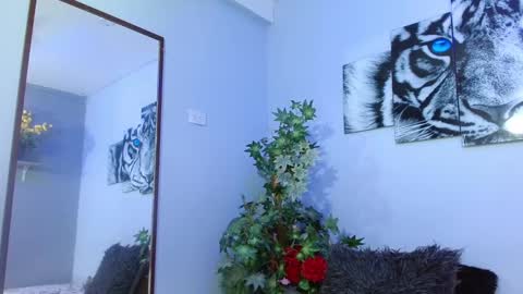 Analia online show from 02/08/25, 03:10