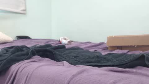 AnalKing online show from 10/14/25, 10:43