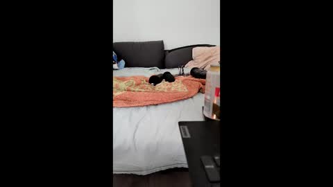 analtraining12 online show from 03/26/26, 10:21