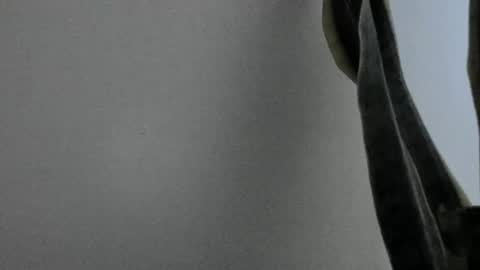 Snapshot of anapakerman chatting on 02/13/25, 01:50 Ana Pakerman online show from 02/13/25, 01:50