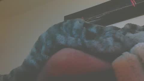 andreas online show from 03/05/26, 05:14