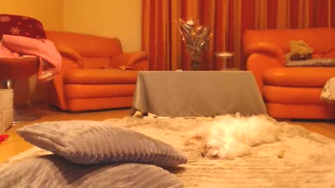 Snapshot of andrasweetie chatting on 12/13/25, 07:53 Andra online show from 12/13/25, 07:53