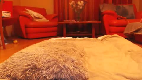 Andra online show from 03/16/26, 05:17