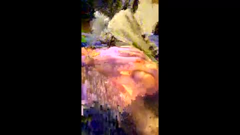 Snapshot of andrefeetlover11849 chatting on 12/17/25, 06:36 andrefeetlover11849 online show from 12/17/25, 06:36