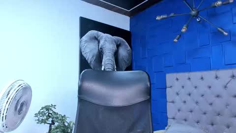 insta andres clark  online show from 10/26/25, 06:14