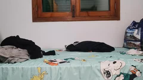 Andreu online show from 12/01/24, 08:31