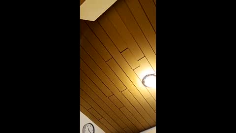 andris40 online show from 03/22/26, 09:18