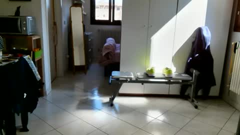 androx77 online show from 03/31/26, 09:21