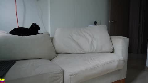 my onlyfans     online show from 03/28/26, 07:35