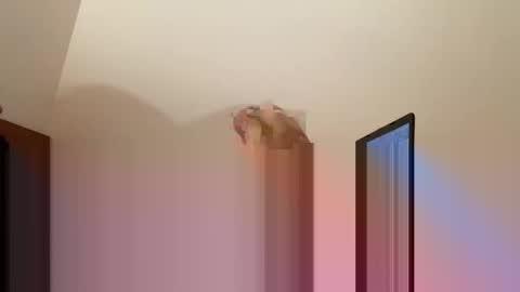 andysap online show from 01/10/25, 01:09