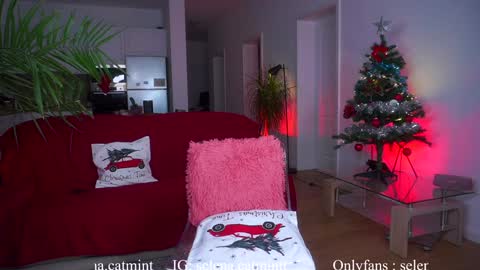 Snapshot of angelandfairieskink chatting on 12/22/24, 07:33 Aimi Selena Daisy online show from 12/22/24, 07:33