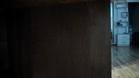 Snapshot of angelicarai chatting on 12/29/24, 09:17 Angelica Rai online show from 12/29/24, 09:17