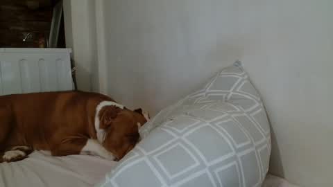 Snapshot of angelicbabexxx chatting on 02/08/25, 09:04 Angela online show from 02/08/25, 09:04