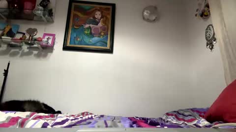 Snapshot of angelicfxxt chatting on 01/23/25, 05:56 angelicfxxt online show from 01/23/25, 05:56