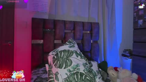Angelo I work from home this is my room  online show from 01/26/25, 08:13