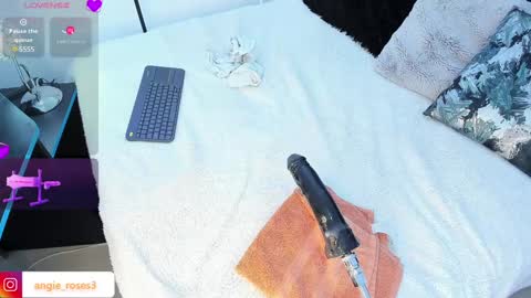 angiee roses online show from 12/13/24, 03:16
