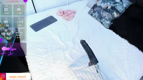 angiee roses online show from 12/14/24, 08:02