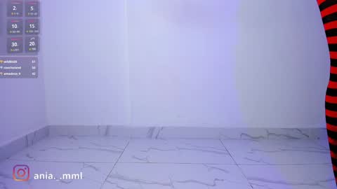 Snapshot of ania_mml chatting on 02/03/25, 11:36 Ania online show from 02/03/25, 11:36