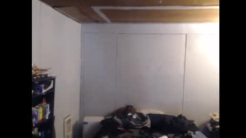 Snapshot of anilyseardor chatting on 02/25/25, 11:08 Ani online show from 02/25/25, 11:08