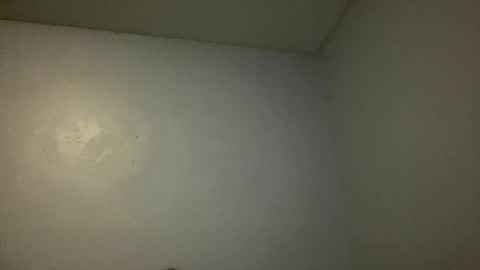 Animeboygirls online show from 11/10/25, 04:11