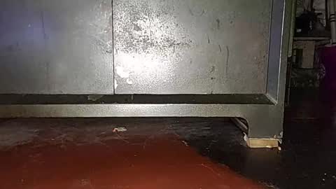 anis4551 online show from 03/16/26, 08:24