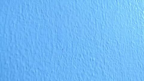 ana independent model online show from 12/02/24, 07:03