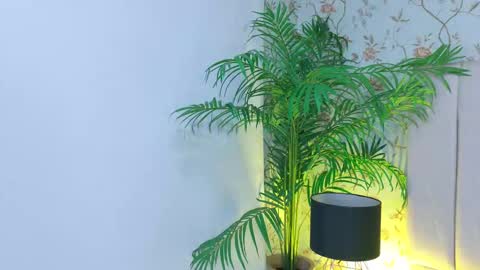 Dania Lpez online show from 03/19/26, 12:42