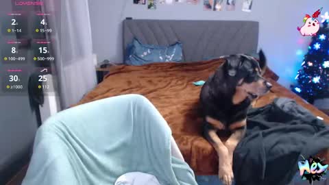 Snapshot of anna_ana chatting on 12/31/24, 10:34 Anadirectgirl online show from 12/31/24, 10:34