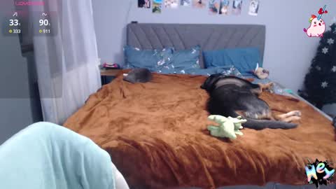 Snapshot of anna_ana chatting on 01/08/25, 06:41 Anadirectgirl online show from 01/08/25, 06:41