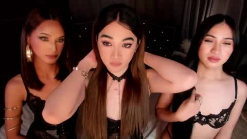 Snapshot of annalolaxoxo chatting on 05/11/26, 11:05 AshyElliston online show from 05/11/26, 11:05