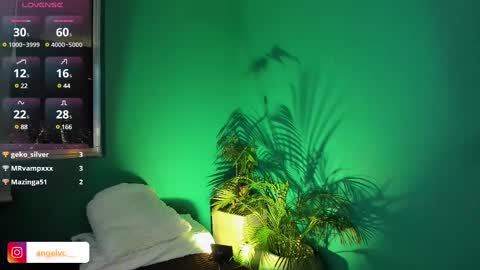 ANG  online show from 02/15/25, 11:58