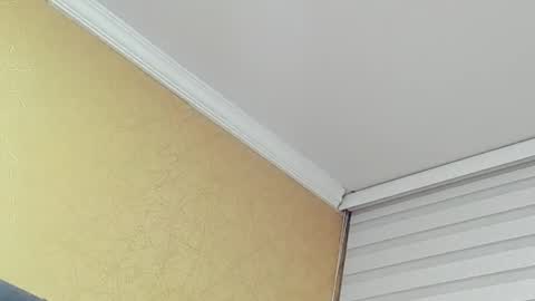       online show from 03/31/26, 12:45