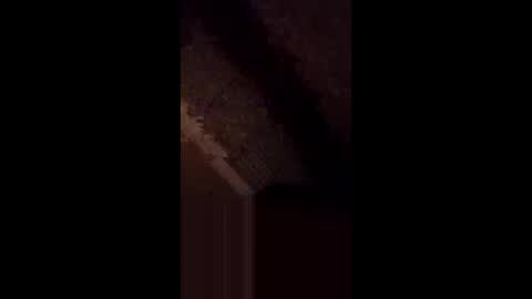 Snapshot of anniebunni chatting on 02/16/26, 05:36 anniebunni online show from 02/16/26, 05:36