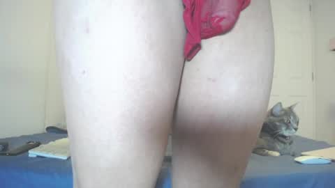  INDEPENDENT MODEL next srteam 240624 online show from 07/11/26, 06:43