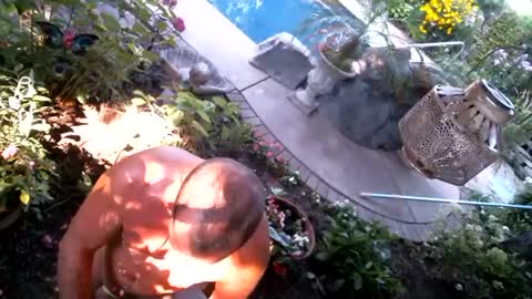 anoaklawnguy online show from 09/14/25, 03:22